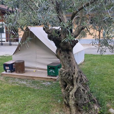 ホテル Camping Daino ピエトラムラタ エクステリア 写真