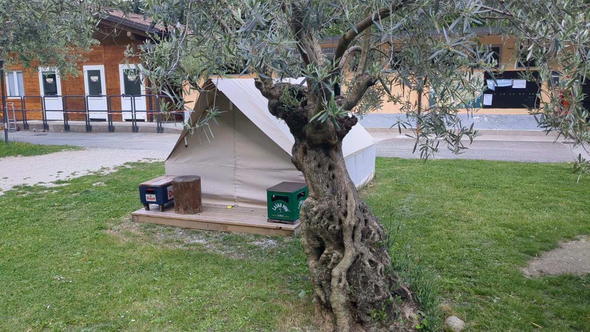 ホテル Camping Daino ピエトラムラタ エクステリア 写真